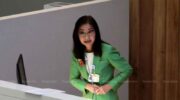 Сенатор допрашивает DES по поводу схемы ИИ