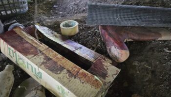 Сессия питья заканчивается жестокой смертью