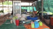 Суп в ресторанчике удон в Удоне Тхани оставил 13 человек в больнице
