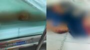 Таиландская женщина признается в том, что смертельно нападала на 4-летнего сына друзей