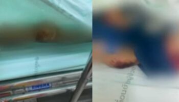Таиландская женщина признается в том, что смертельно нападала на 4-летнего сына друзей