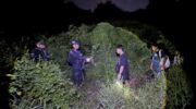 Тайские жертвы мошенничества с «фальшивыми девушками» содержатся в плену в Камбодже китайской группой