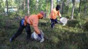 Финский бизнесмен осужден за торговлю тайскими сборщиками ягод