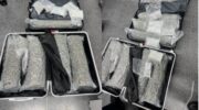 Бельгийка задержана в аэропорту Пхукета после обнаружения каннабиса в багаже
