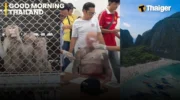 Видеоновости Таиланда | Почти 100 обезьян сбежали из учреждения в Лопбури | Таксист на Пхукете получил похвалу за бесплатную экскурсию туристов в храм