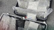 Гражданка Бельгии арестована в аэропорту Пхукета с 31,7 кг каннабиса