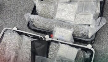 Гражданка Бельгии арестована в аэропорту Пхукета с 31,7 кг каннабиса