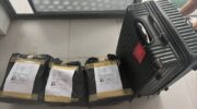 Две молодые женщины задержаны в аэропорту Пхукета с 32 кг каннабиса