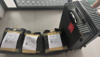 Две молодые женщины задержаны в аэропорту Пхукета с 32 кг каннабиса