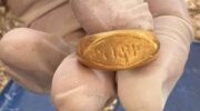 Древние золотые кольца вызывают призыв к музею