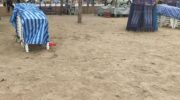 Друг подозревает связь с долгами по азартным играм после того, как мужчины нашли мертвым на пляже Паттайя