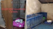 ‘Не соответствует заявленному’ шок от номера решен в Нан