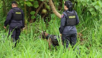 Поиск продолжается для российских братьев и сестер, пропавших в Паттайе