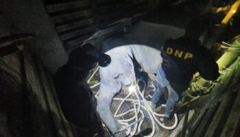 Работники парков и охраны дикой природы критикованы за смерть слона