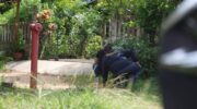 Разыскиваемые подозреваемые в исчезновании молодых россиян сбежали