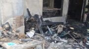 Супружеская пара, 73 кошки погибли в пожаре в таунхаусе в Бангкоке