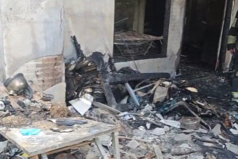 Супружеская пара, 73 кошки погибли в пожаре в таунхаусе в Бангкоке