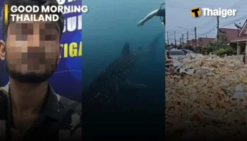 Thailand Video News | Тайская женщина сообщает о своем индийском бойфренде за превышение визы на 1,201 день | Два раза видели китовых акул, что вызывает восторг у дайверов у побережья Ко-Тау