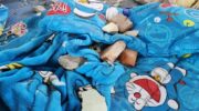 Автомобиль врезается в детский центр в Канчанбури, ранив 16 человек (видео)