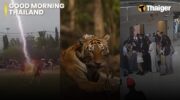 Видеоновости Таиланда | Удар молнии унес жизнь футболиста во время матча кубка Наратхиват, работник заповедника убит в результате предполагаемой атаки тигра