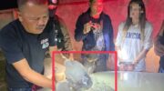 Водитель «Бенза» пойман с «льдом» под капотом