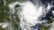 Дельфин, Дим-сум, Банян: Как тропические циклоны получают свои имена