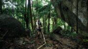 Пхукет готовится к кроссу по холмам Phuket Trail 2026