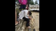 Самоубийство предотвратили на мосту Сарасин