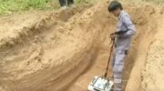 Сканирование могильника в Чонбури не обнаружило дополнительных тел